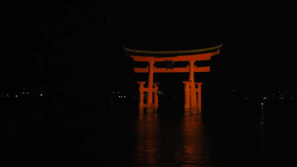 the torii gate lit up in the dark